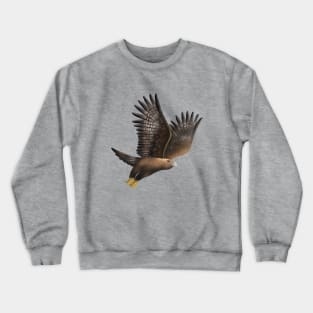 Golden Eagle - Aquila chrysaetos Crewneck Sweatshirt